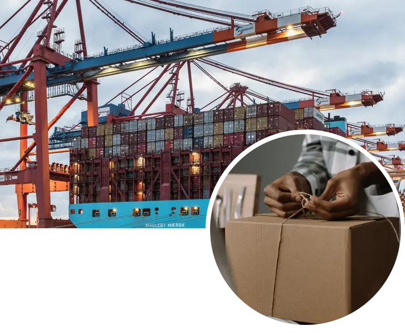 Shipping & Logistics Support company India